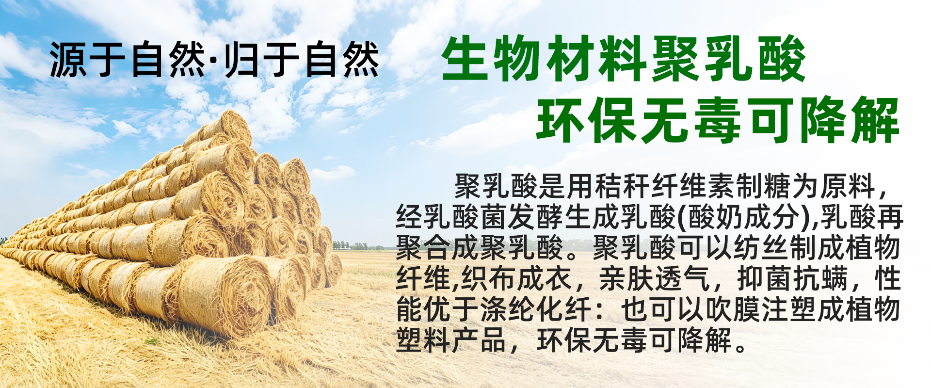 首图.jpg